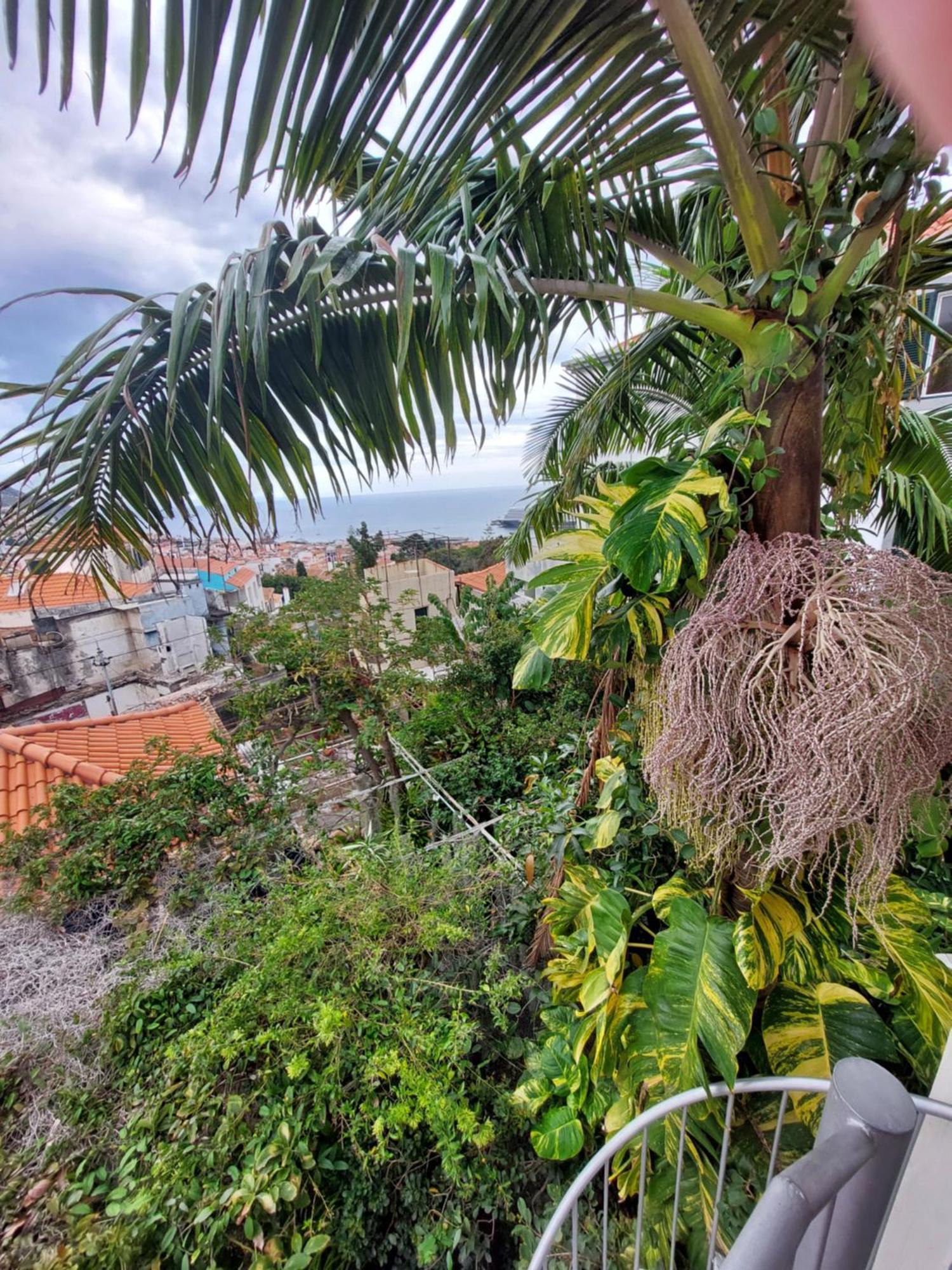 Casa Pico Musica Apartment Funchal  Exterior photo